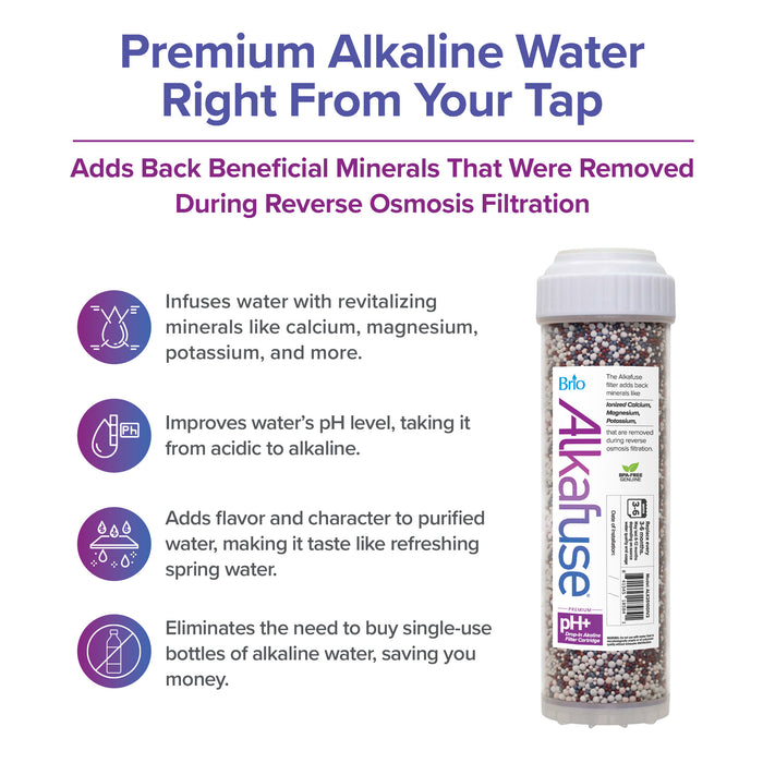 Brio Alkafuse Drop-In Alkaline Filter, 20,000 L, 2.5” x 10”