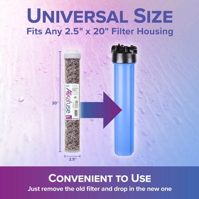 Brio Alkafuse Drop-In Alkaline Filter, 50,000 L, 2.5" X 20"