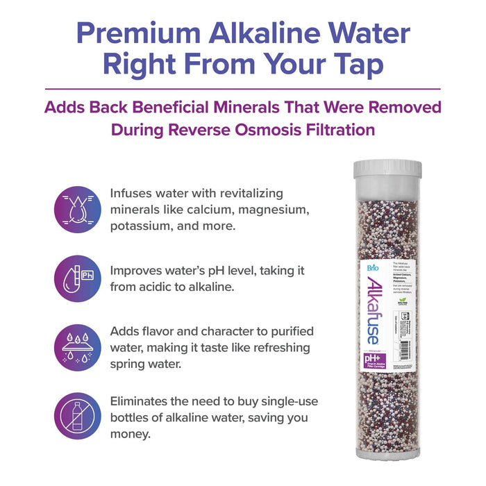 Brio Alkafuse Drop-In Alkaline Filter, 150,000 L, 4.5" x 20"