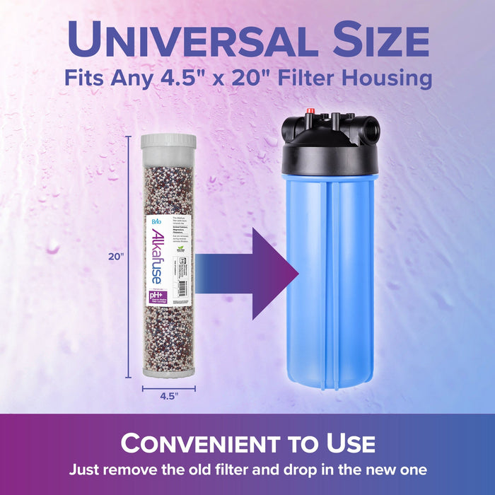 Brio Alkafuse Drop-In Alkaline Filter, 150,000 L, 4.5" x 20"