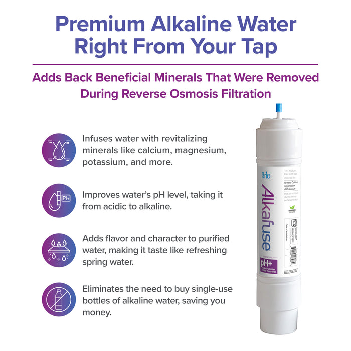 Brio Alkafuse In-Line Alkaline Filter, 8,000 L, 1/4" Quick Connect