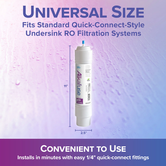 Brio Alkafuse In-Line Alkaline Filter, 8,000 L, 1/4" Quick Connect