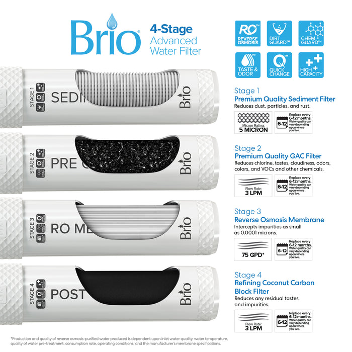Brio Moderna Reverse Osmosis Bottle-less Water Cooler