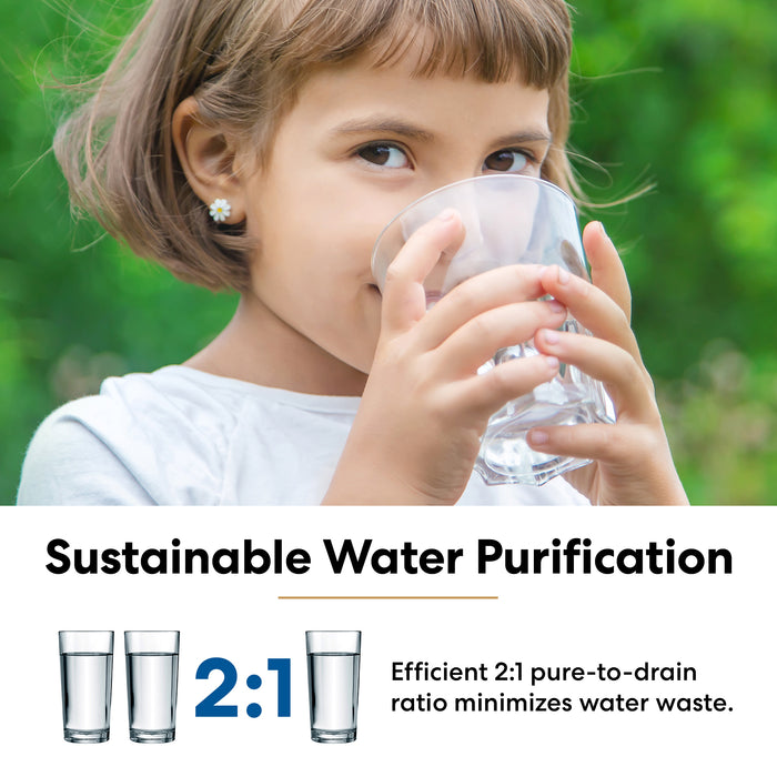 Brio G20-U RO Undersink Filtration System – Black