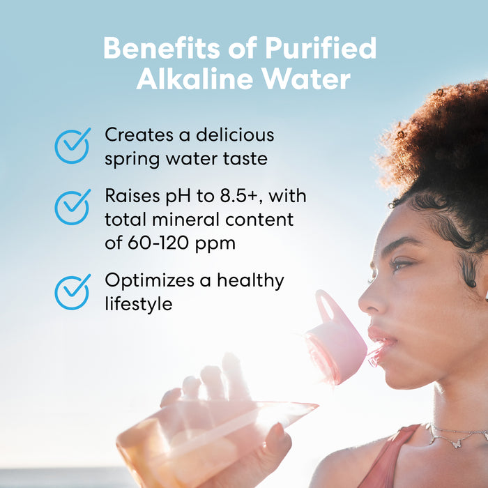 Brio PURE Alkafuse 6-Stage RO Undersink Filtration System