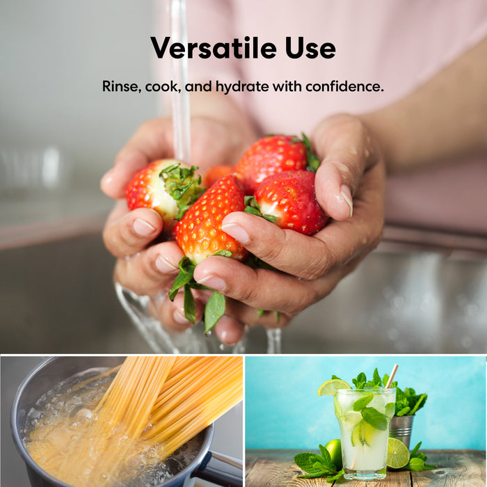 Brio PURE Balance 6-Stage RO Undersink Filtration System