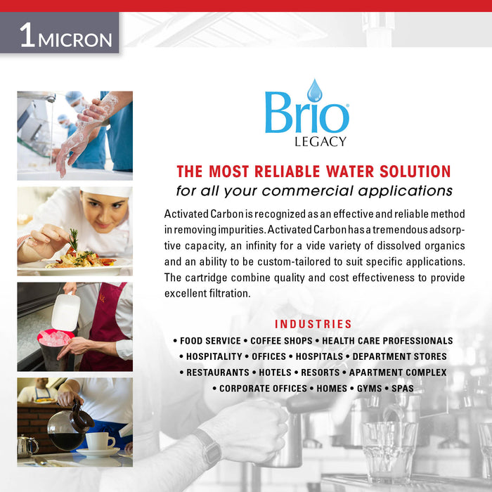Brio Legacy 2.5 X 20 Cocnut Shell Carbon Block 1 Micron