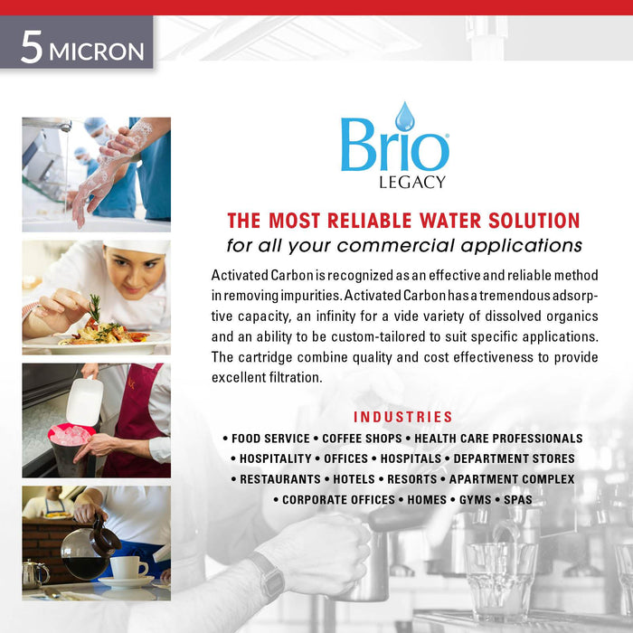 Brio Legacy 5 Micron Coconut Shell Carbon Block Filter for Commercial RO System