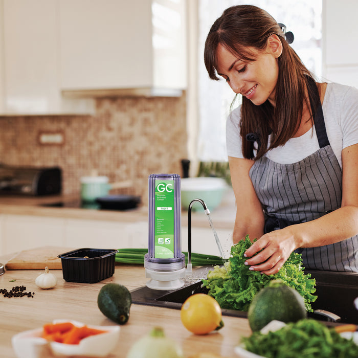 1 Stage Countertop Drinking Water Filter System, Brio Essential
