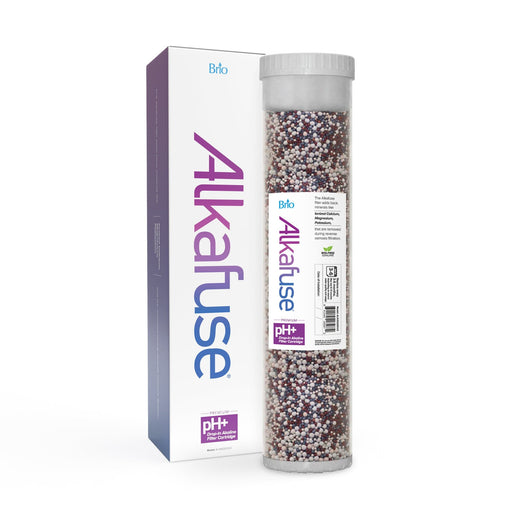 Brio Alkafuse Drop-In Alkaline Filter, 150,000 L, 4.5" x 20"