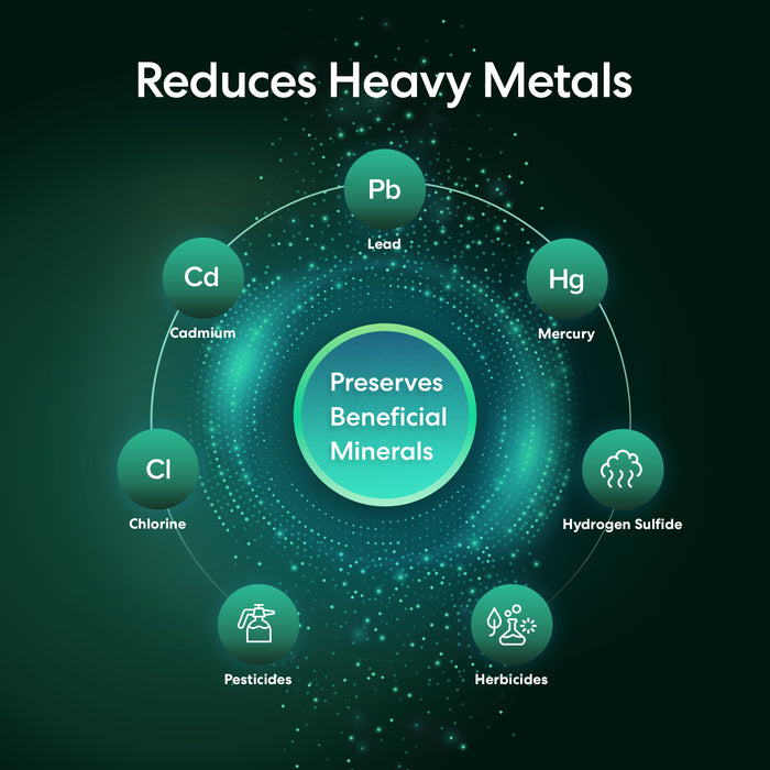 Brio Single Stage Whole House Filtration System -  10" Heavy Metals