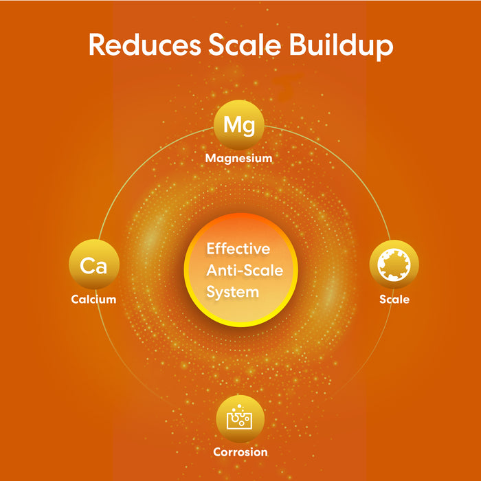 Brio Single Stage Whole House Filtration System - 10" Anti-Scale