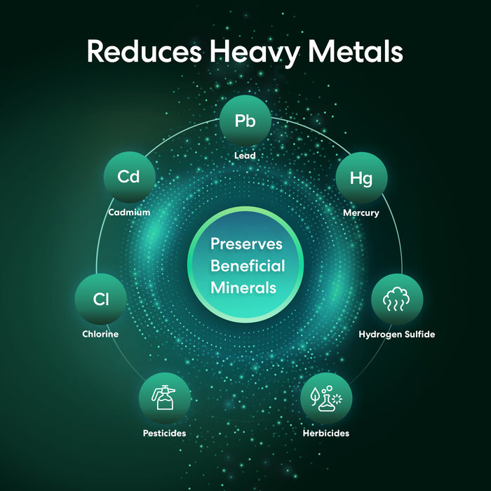 Brio Single Stage Whole House Filtration System - 20" Heavy Metals