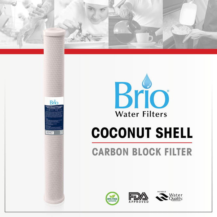 Brio Legacy 25 Micron Coconut Shell Carbon Block Filter for Commercial RO System