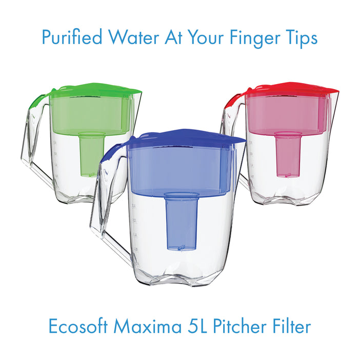 Pack of 2 Replacement Filters for Ecosoft LUNA AND MAXIMA pitchers