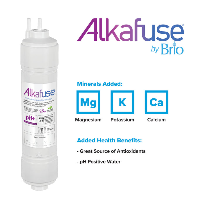 Brio Premier 11" U-Type Inline Alkafuse Alkaline Water Filter