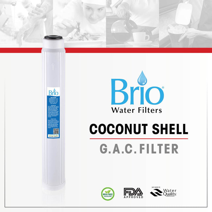Brio Signature 2.5" X 20" Replacement GAC Filter for Commercial RO System