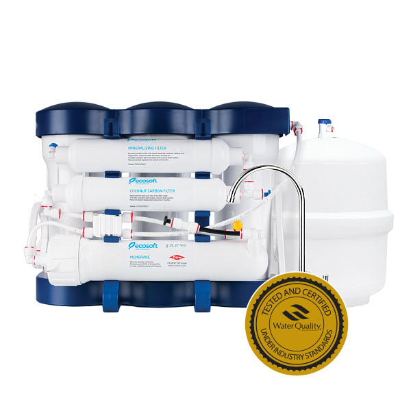 6 Stage Reverse Osmosis Water Filter System with Mineralization, RO, Ecosoft P'URE